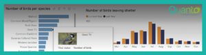 Creating tooltips with pictures in Power BI